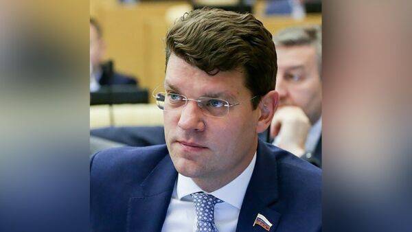 Депутат Кравченко рассказал об успехах международных проектов в условиях коронавируса