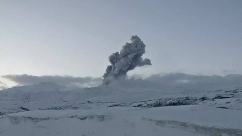 Учёный оценил вероятность серьёзного извержения вулкана Эбеко