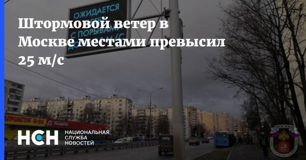Штормовой ветер в Москве местами превысил 25 м/с
