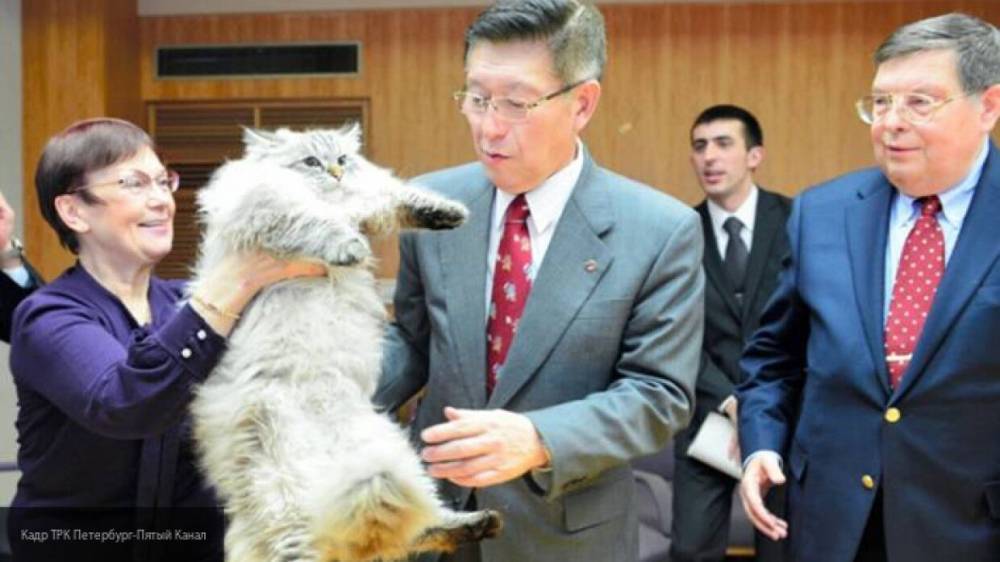 Подаренного Путиным японскому губернатору кота отправили на карантин из-за COVID-19