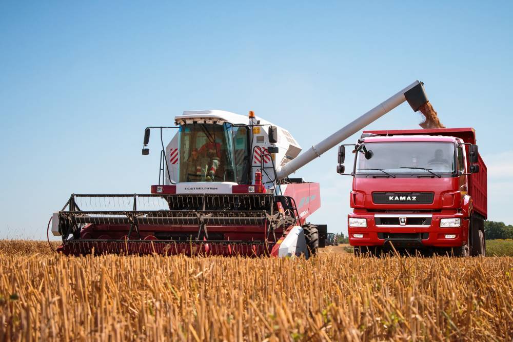 La Croix считает, что мир столкнется с нехваткой пшеницы из-за приостановки экспорта РФ