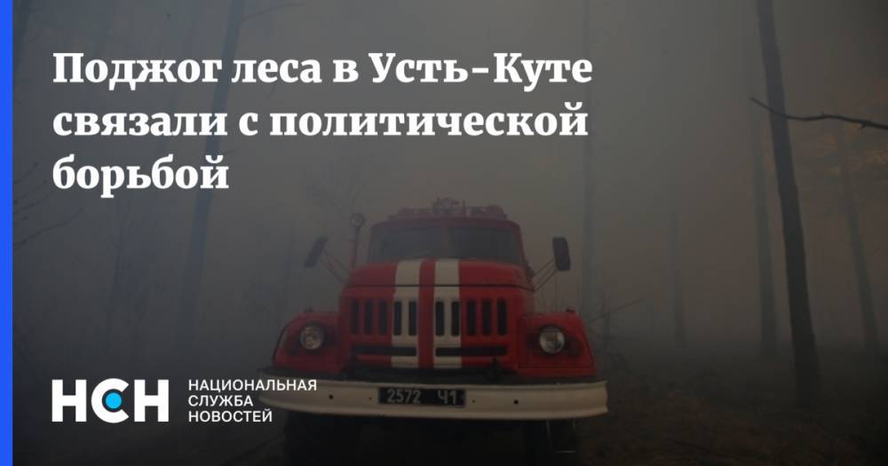 Поджог леса в Усть-Куте связали с политической борьбой