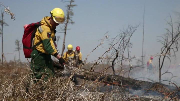 Сотрудники районной администрации подожгли лес: подробности