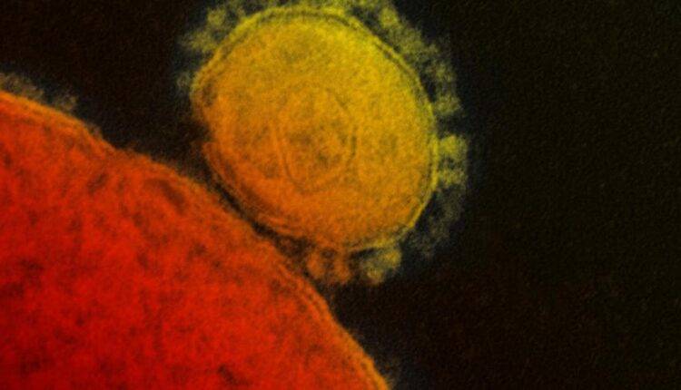 Инфекционист раскрыл «смысл» коронавируса