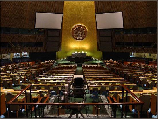 Отменяющую санкции резолюцию России в ООН заблокировали несколько стран