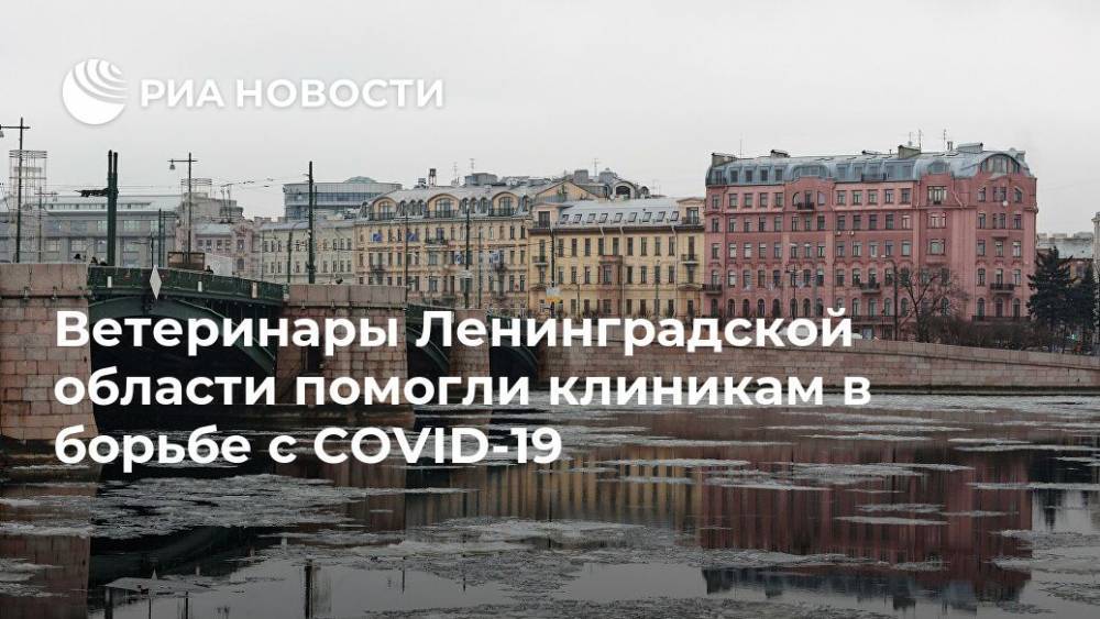 Ветеринары Ленинградской области помогли клиникам в борьбе с COVID-19
