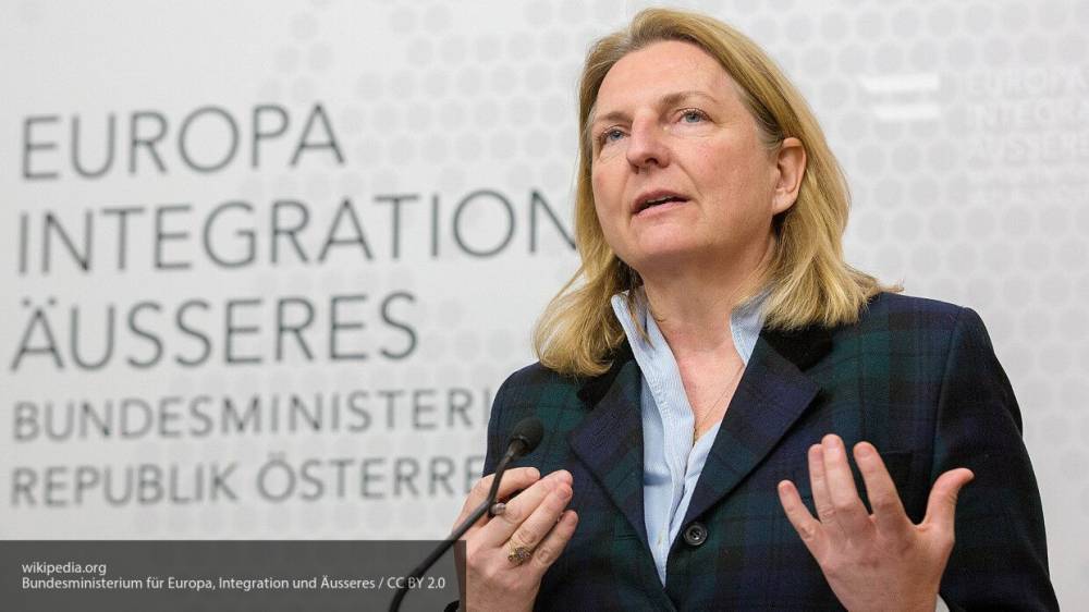 Бывшая глава МИД Австрии Кнайсль сообщила о насилии со стороны мужа