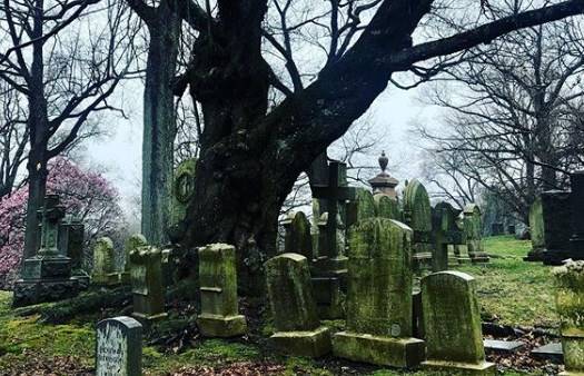 В Нью-Йорке люди вместо самоизоляции продолжают гулять в парках и на кладбищах