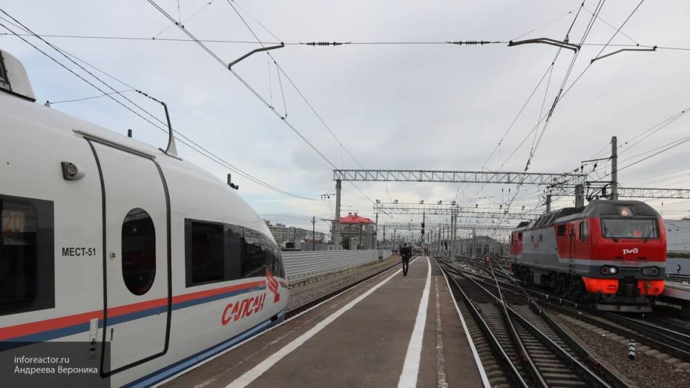 Число рейсов "Сапсана" между Москвой и Петербургом сократят из-за COVID-19