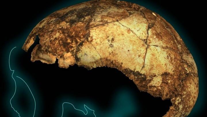 Обнаружены древнейшие останки человека прямоходящего