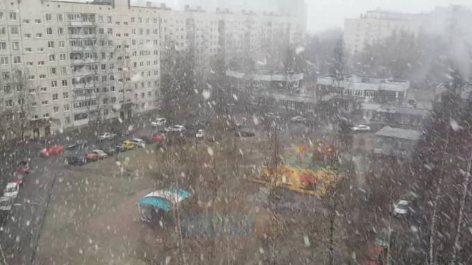 МЧС предупреждает петербуржцев о сильном ветре и снегопаде в субботу