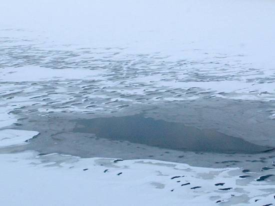 Школьница утонула, пытаясь спасти провалившуюся под лед подружку в Подмосковье