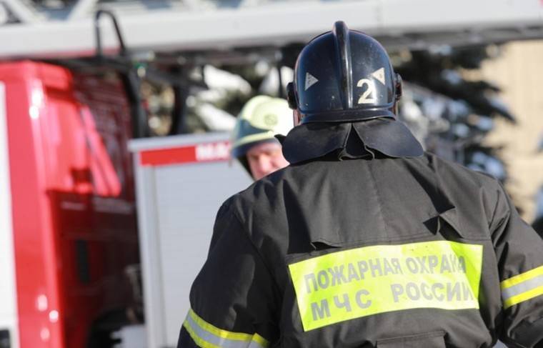 Глава МЧС поздравил российских пожарных с профессиональным праздником