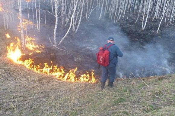В Челябинской области поймали школьников, устроивших пожар в поле