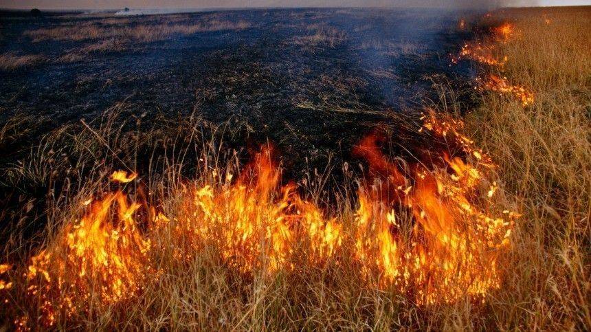Пропавшие иркутские чиновники, подозреваемые в попытке поджечь лес, нашлись