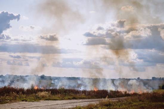 В Приангарье нашли подозреваемых в поджоге леса чиновников