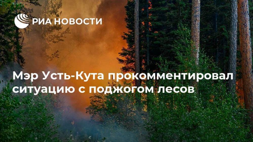 Мэр Усть-Кута прокомментировал ситуацию с поджогом лесов - ria.ru - Иркутск - район Усть-Кутский - Усть-Кута