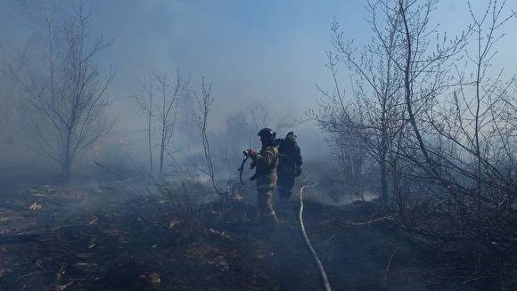 Жители Иркутской области избили чиновника, которого заподозрили в поджоге лесов
