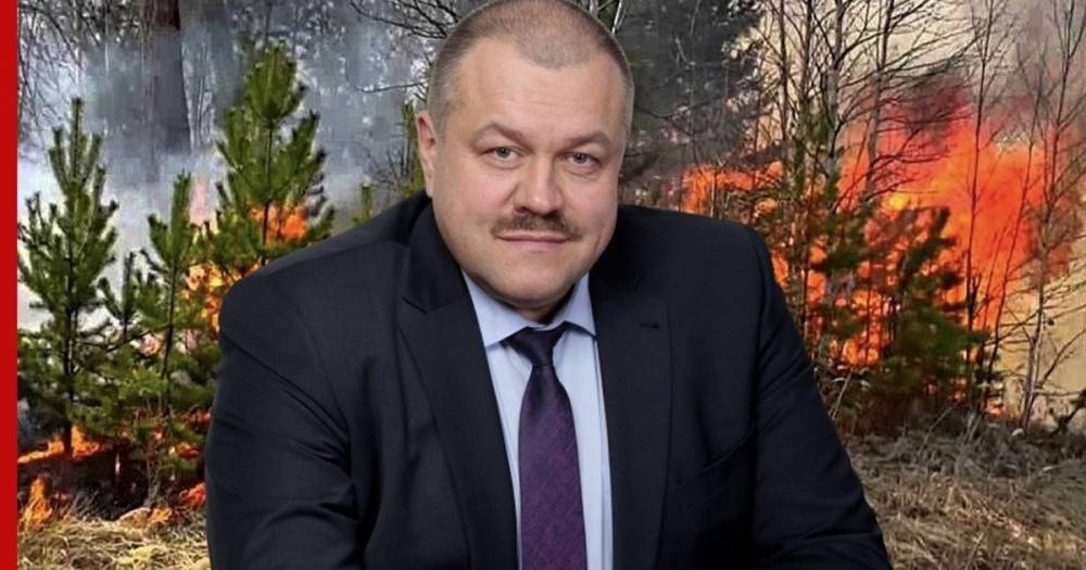 Глава Усть-Кута прокомментировал инцидент с поджогом лесов