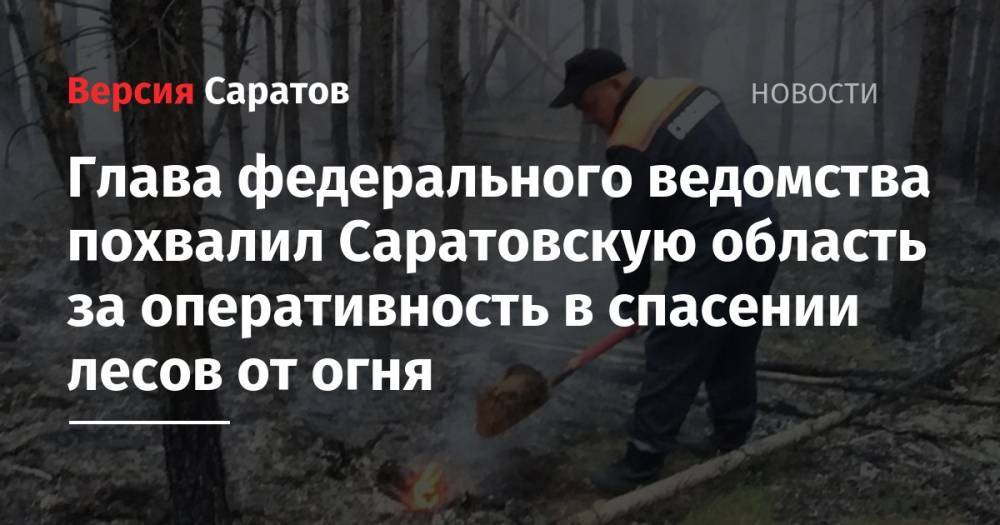 Глава федерального ведомства похвалил Саратовскую область за оперативность в спасении лесов от огня