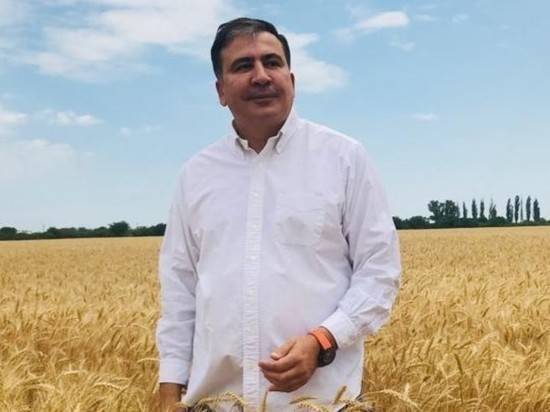 Саакашвили договорился с Зеленским занять новую должность на Украине
