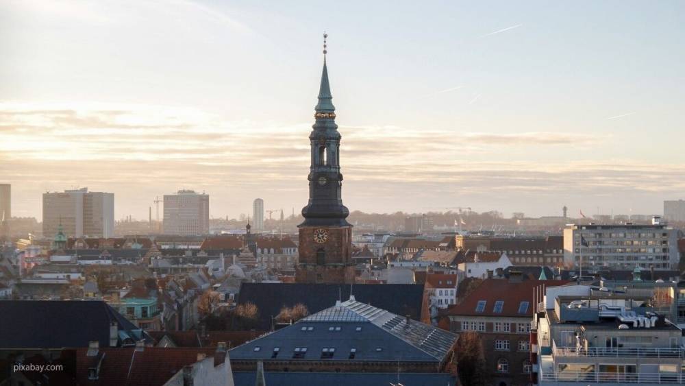 Полиция Дании задержала радикального исламиста по подозрению в подготовке теракта