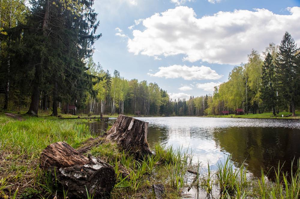 В Москве закроют лесопарковые зоны на время майских праздников