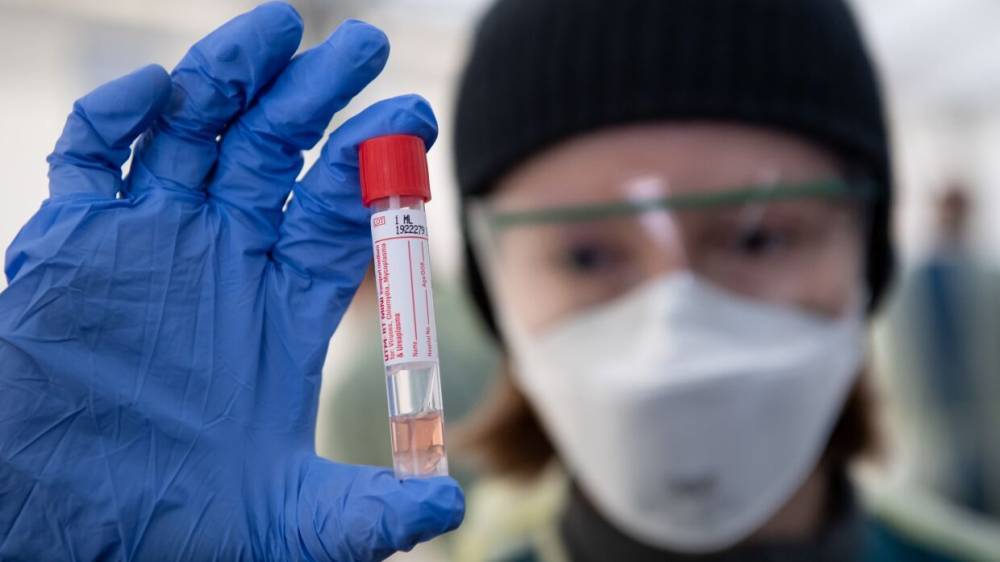 Определены сроки начала экспресс-тестирования на коронавирус в России