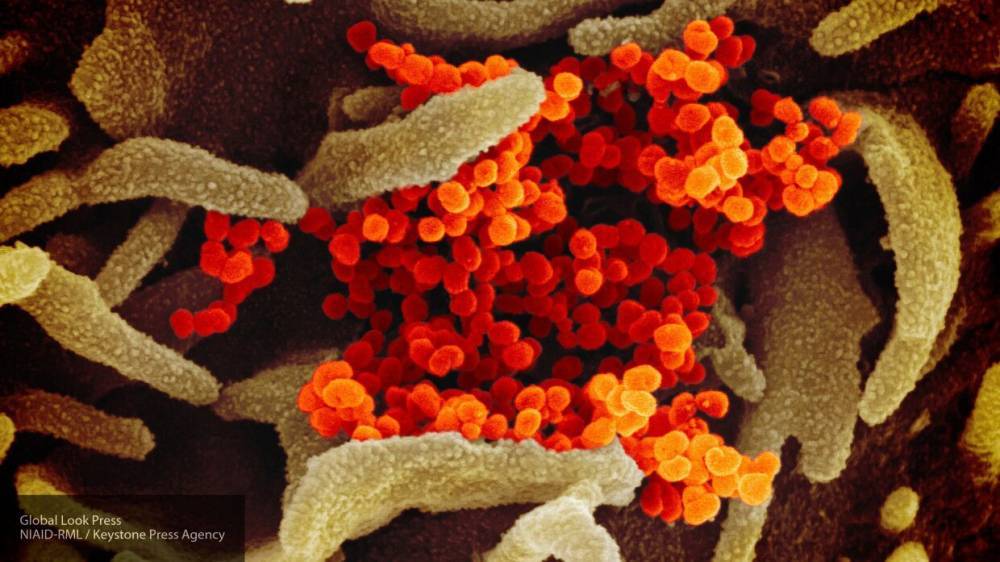 Ученый объяснил, почему трудно остановить распространение коронавируса в мире
