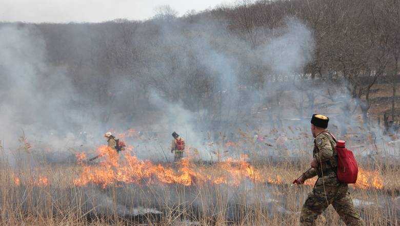 Тюменские пожарные развеяли мифы о пользе сжигания сухой травы