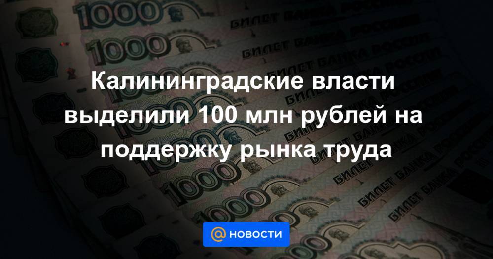 Калининградские власти выделили 100 млн рублей на поддержку рынка труда