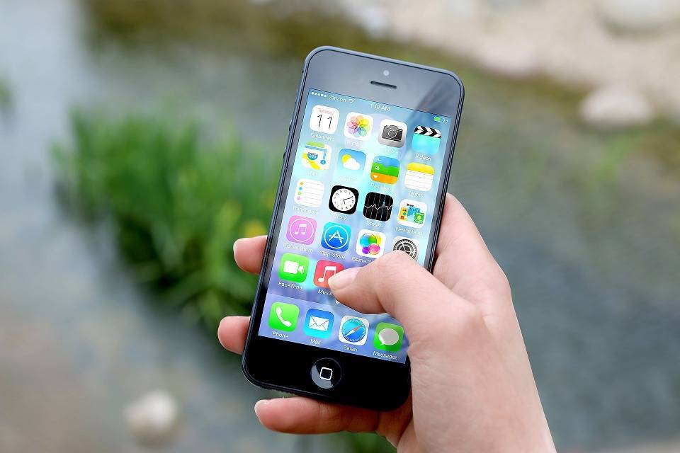 Мобильное приложение появилось у акции «День без турникетов»