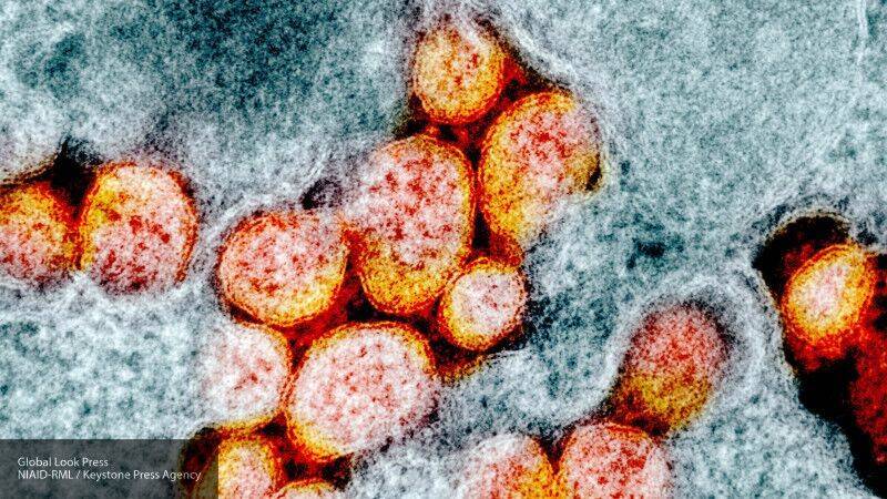 Коронавирус не исчезнет и станет сезонным заболеванием