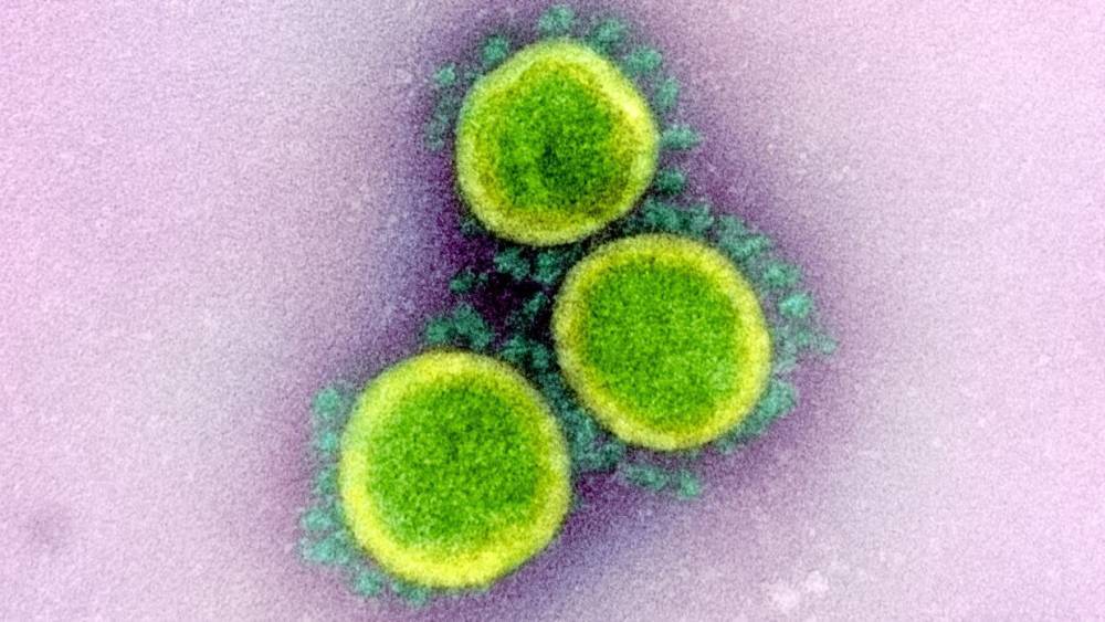 Эксперт считает, что коронавирус ослабнет летом из-за высоких температур