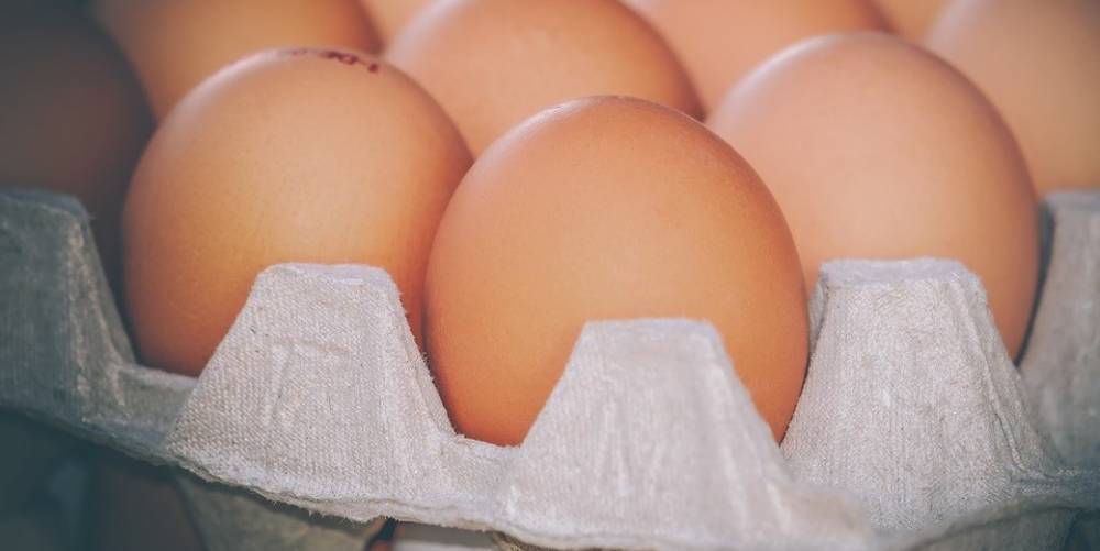 Кто виноват, что в магазинах нет яиц?