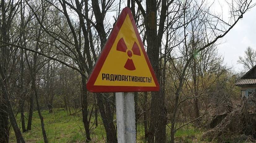 В Чернобыльской зоне произошёл лесной пожар
