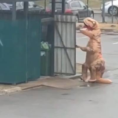 Житель Всеволожска вынес мусор в костюме динозавра