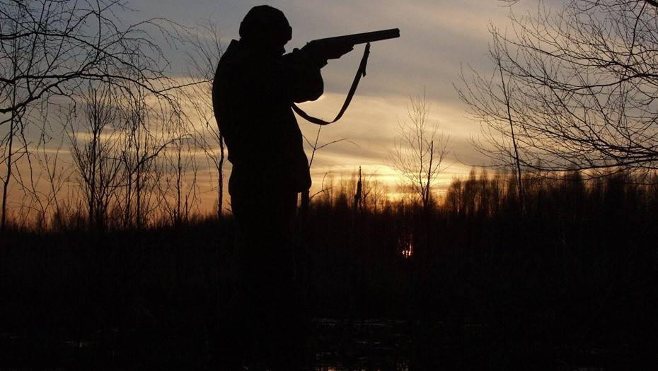 "Хоть какая-то отдушина": в Псковской области не стали запрещать охоту