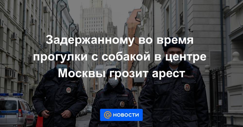 Задержанному во время прогулки с собакой в центре Москвы грозит арест