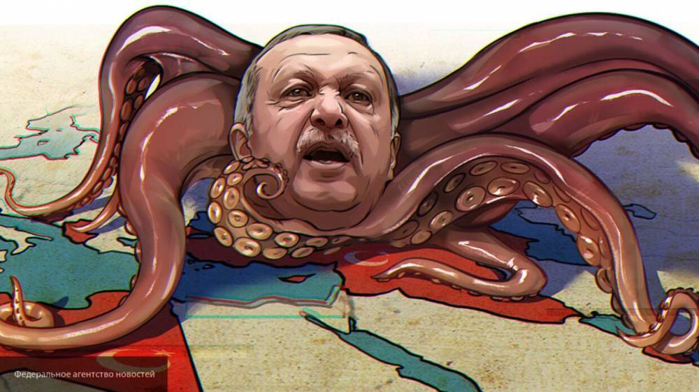 Баранец: Эрдоган скрывает сведения о потерях в Сирии, чтобы избежать неудобных вопросов