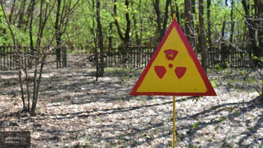 Вокруг Чернобыльской атомной электростанции загорелся лес