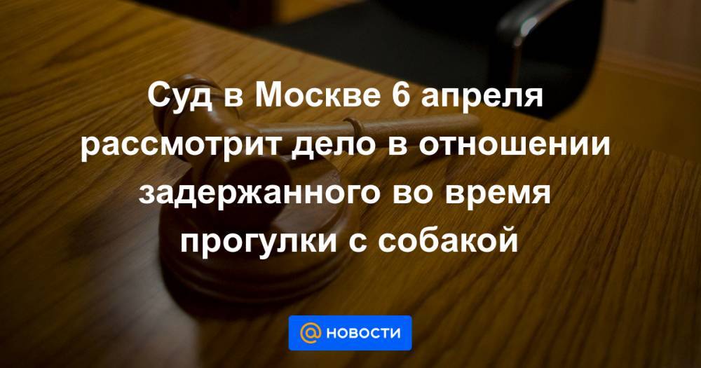 Суд в Москве 6 апреля рассмотрит дело в отношении задержанного во время прогулки с собакой