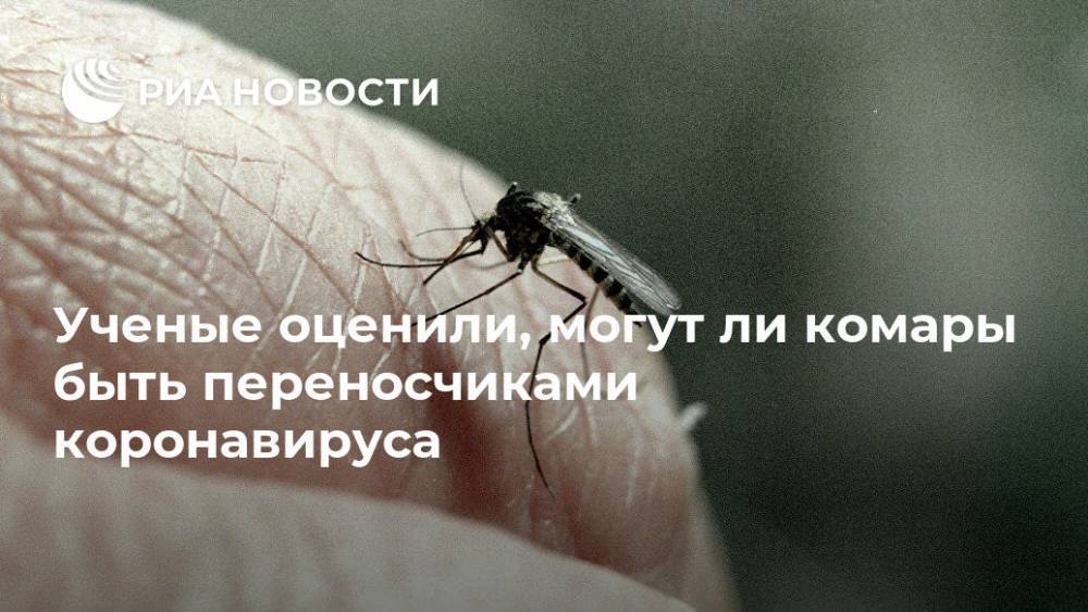 Ученые оценили, могут ли комары быть переносчиками коронавируса