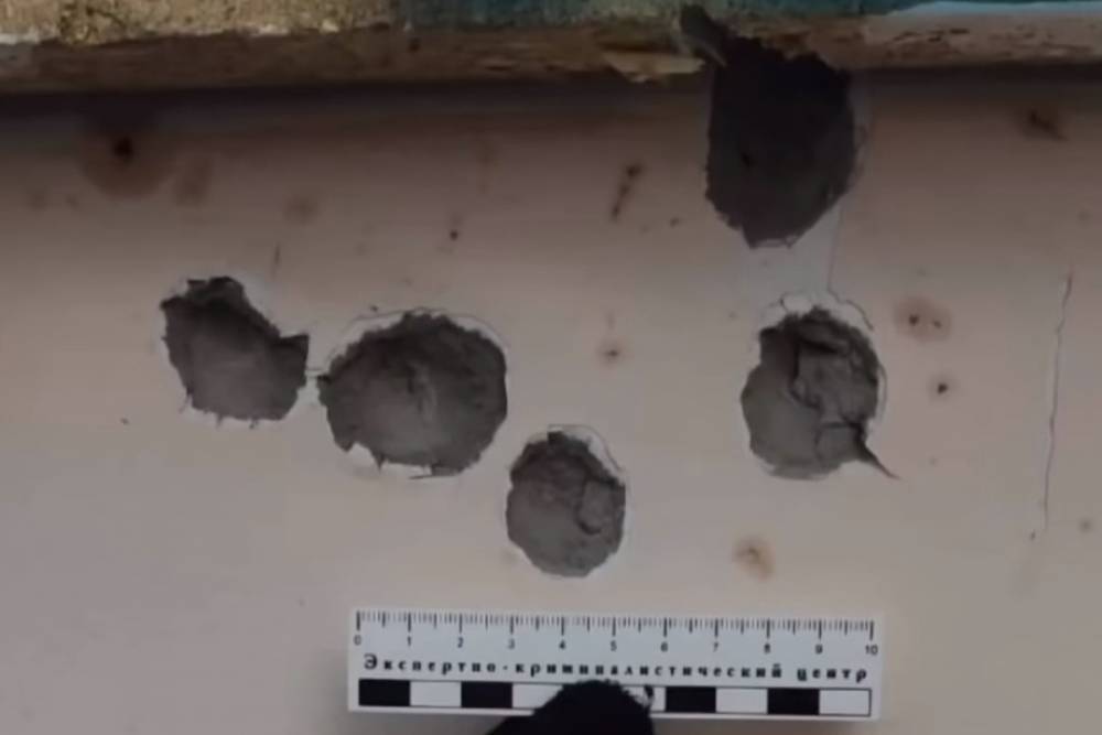 Опубликовано видео с места убийства пяти человек под Рязанью