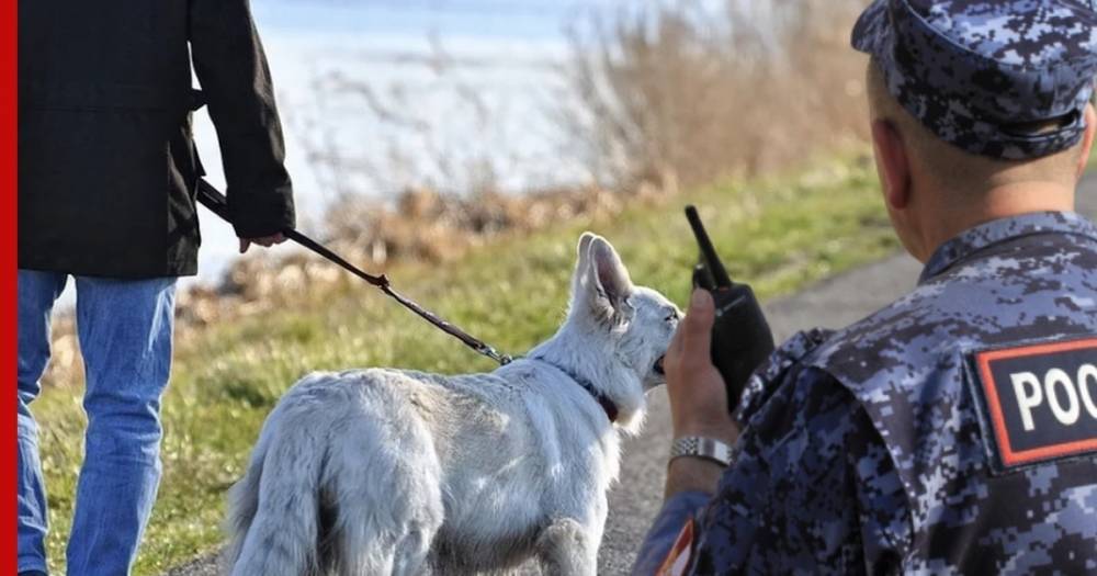 Полиция задержала гулявшего с собакой на Патриарших прудах москвича