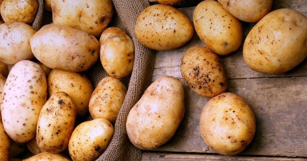 В Волгограде прояснили выдачу ученикам сухпайков с гнилой картошкой