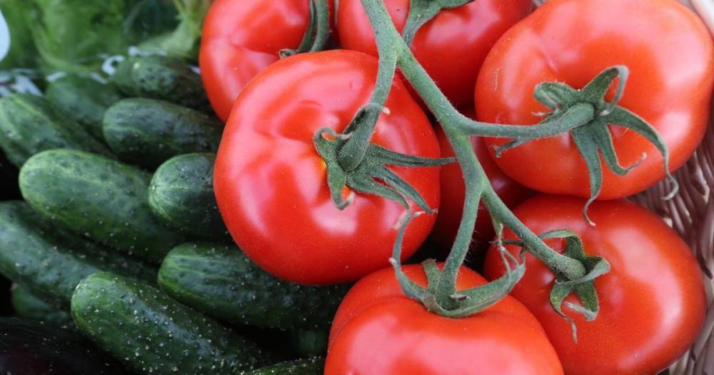 Минсельхоз просят запретить импорт томатов и огурцов в Россию