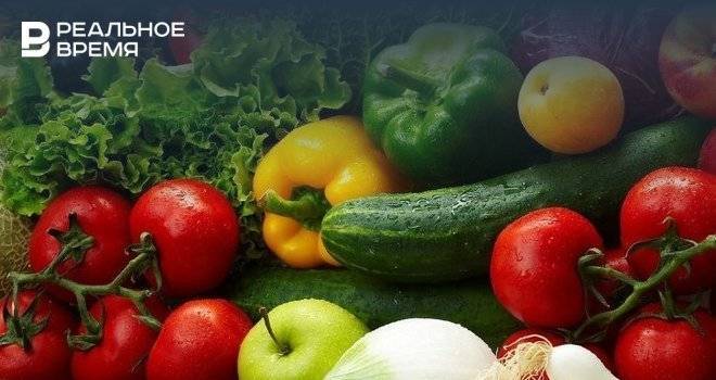 В Татарстане увеличат производство овощей