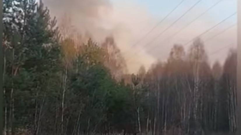 На Украине рассказали об уровне радиации в очаге пожара в чернобыльской зоне