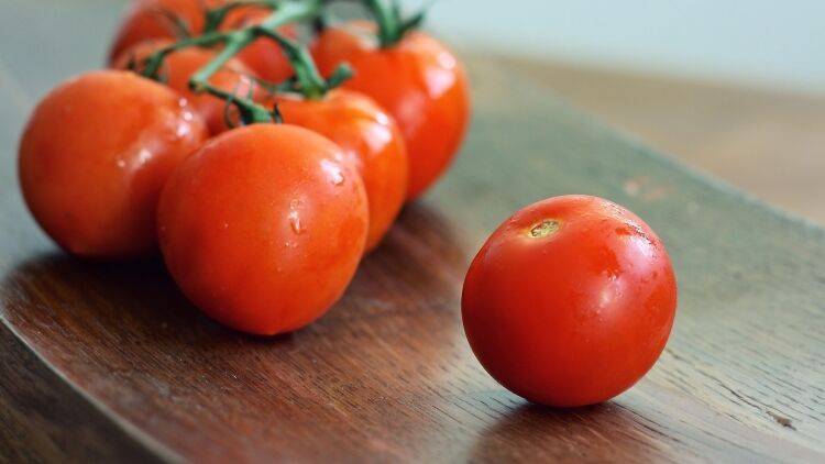 Минсельхоз попросили ограничить ввоз томатов в интересах российских производителей